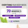 5 BOTTLES IMMUNO 150 THE ULTIMATE MULTI VITAMIN, IMMUNE BOOSTER. 150 CAPSULES